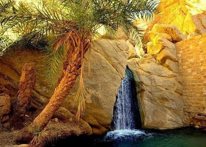 trip to tunisia - tozeur