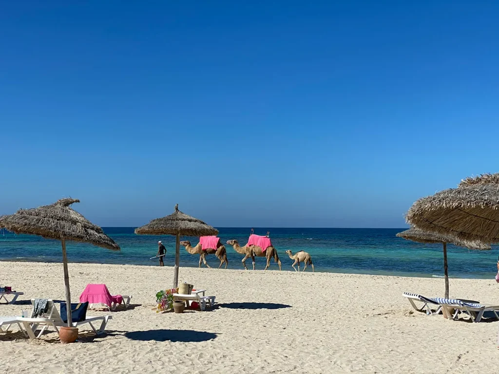 trip to tunisia - djerba