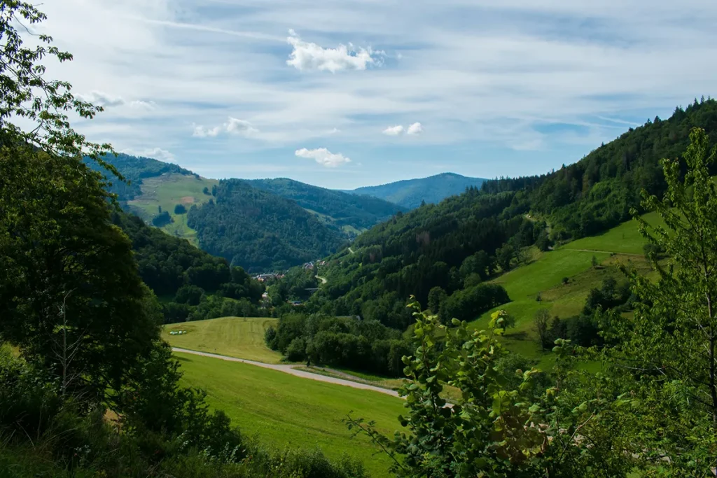 trip to germany - black forest