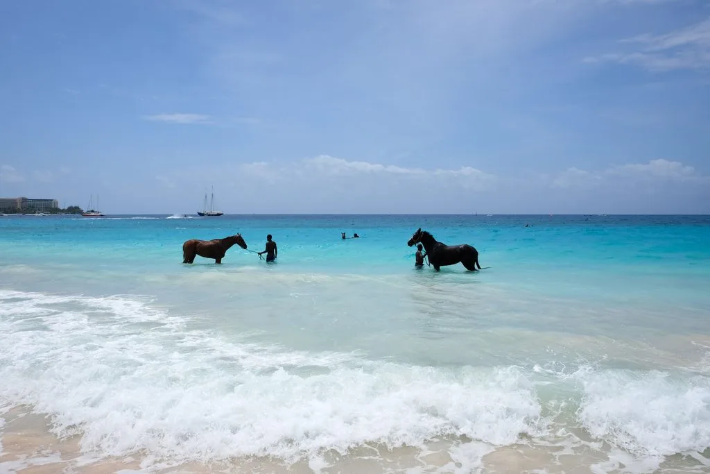 spiagge barbados caraibi
