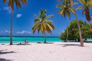 caraibi