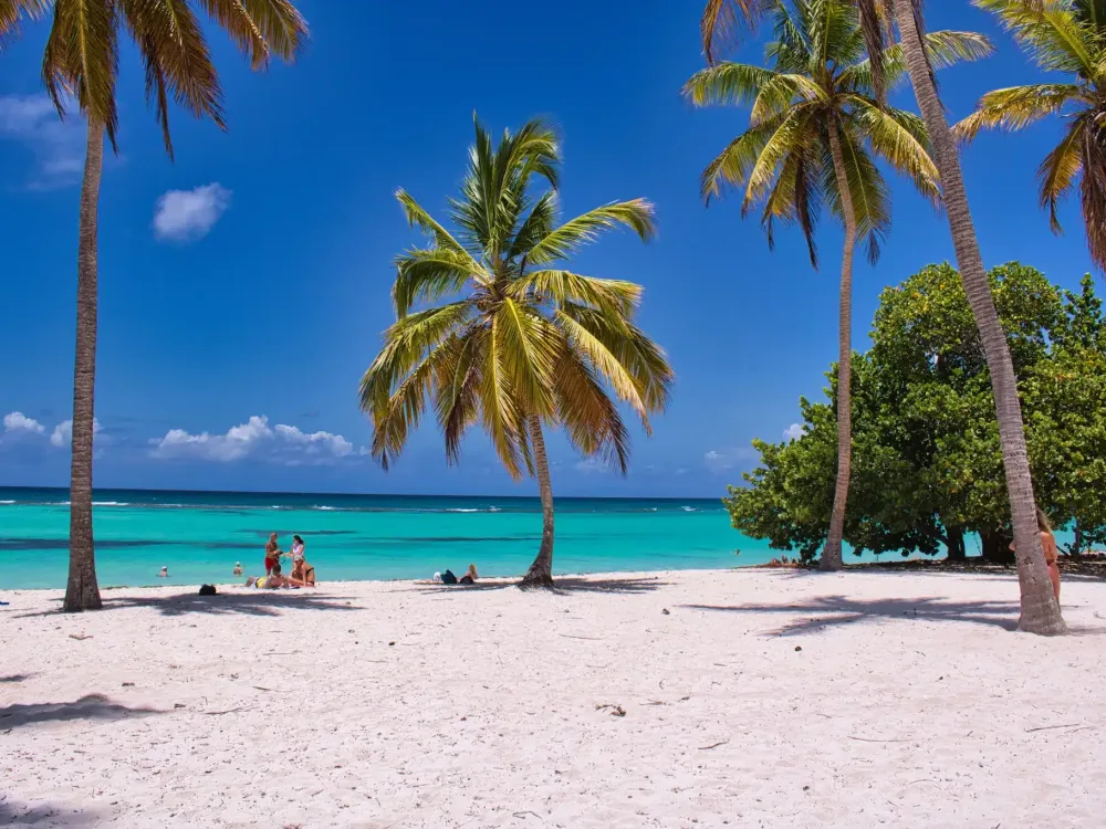 caraibi